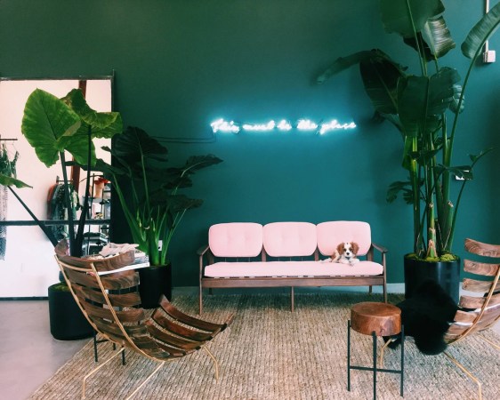 Cult Gaia Pop Up Shop Teal Wall Neon Light Palms