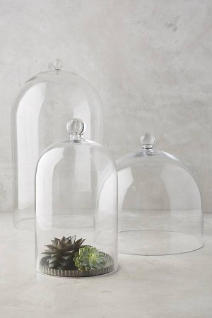 glass decor accessories Glass Display Cloche by Anthropologie