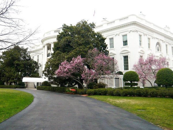 the white house