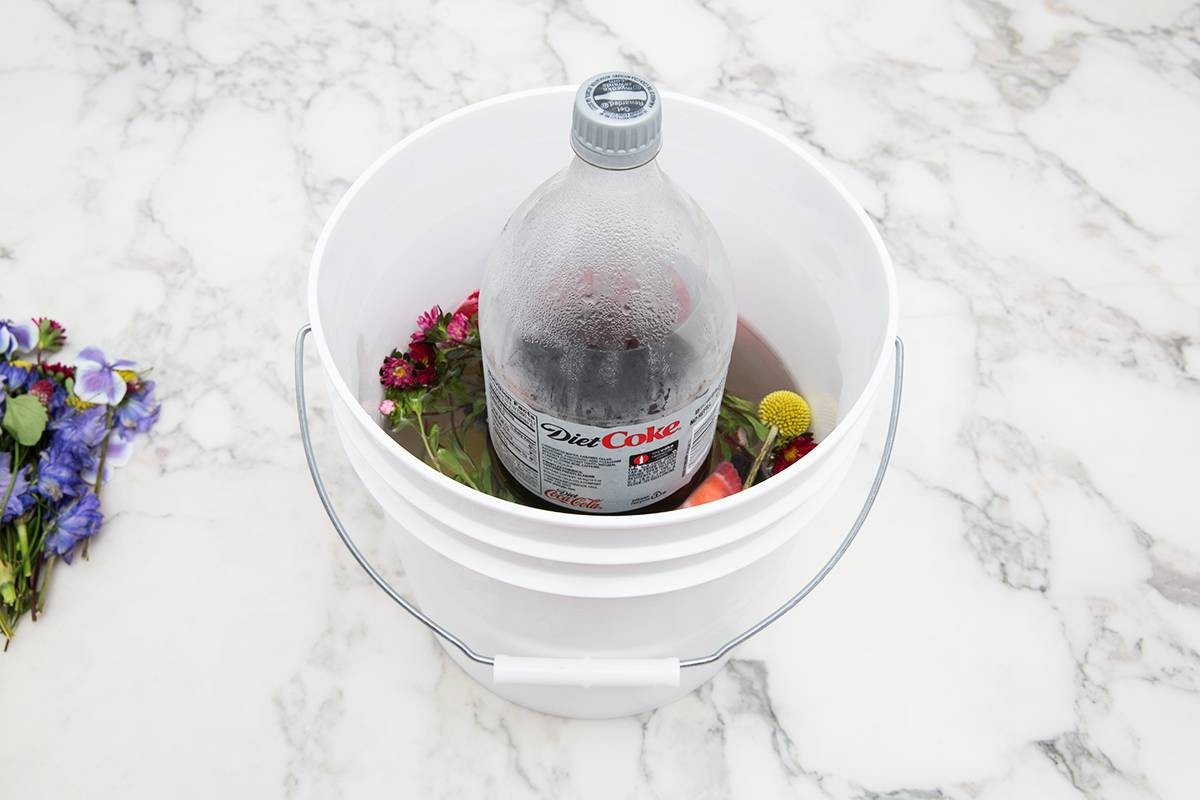 DIY Fruit And Flowers Ice Bucket  bucket with bottle inside