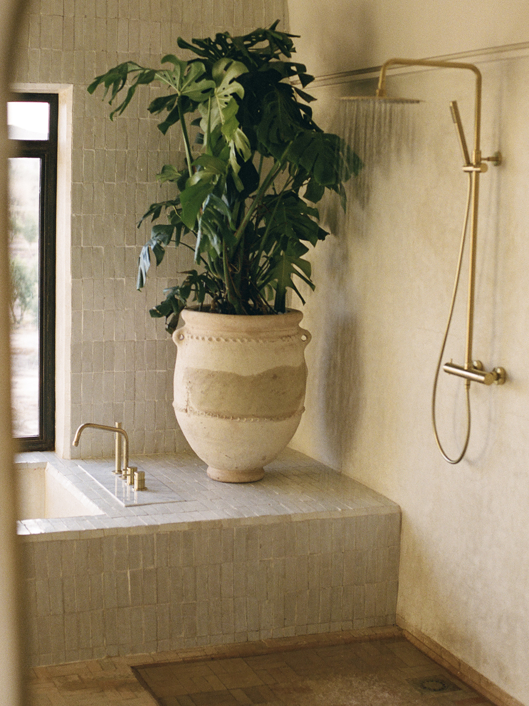 shower next to tub