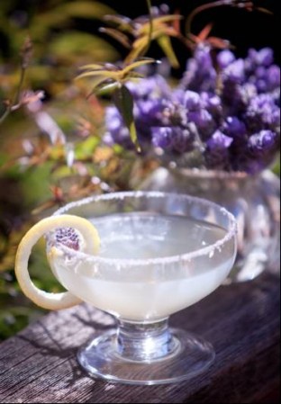 lavender-drink