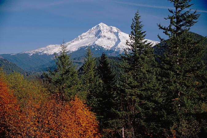 Love Tiny Houses? The Best Ones Are Waiting for You in This State