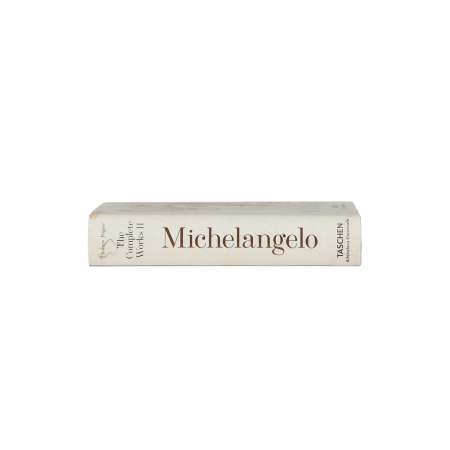  Michelangelo book cover