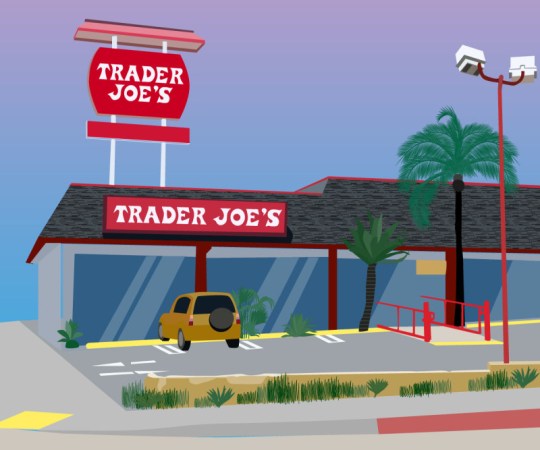 Look Out for These New Trader Joe’s Products in 2019