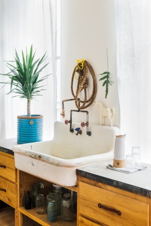 small plant next to sink