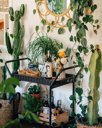 7 #SoDomino Greenery-Filled Spaces That Make Us Want to Be Plant Parents