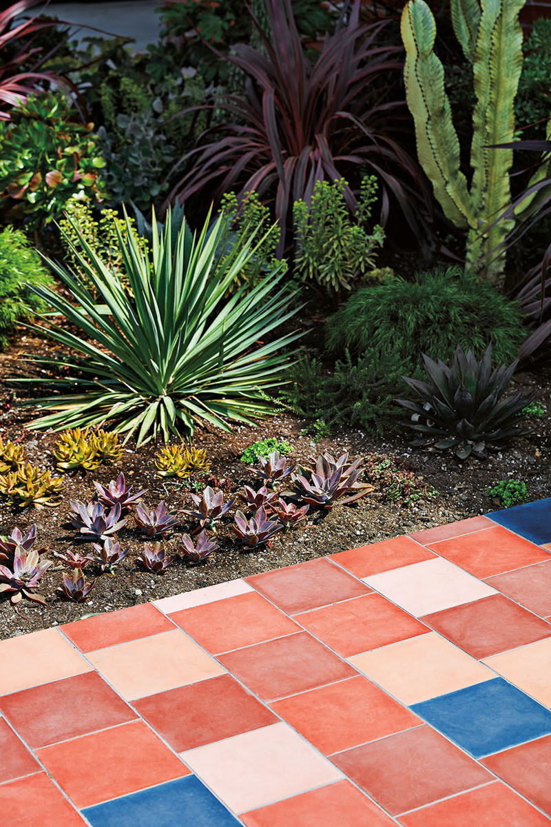 red and blue tiles next to plants