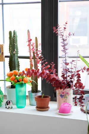 The Genius Gardening Hack You Need, Courtesy of a $1 IKEA Vase