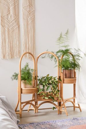 Take Your Plants to New Heights With These Chic Stands