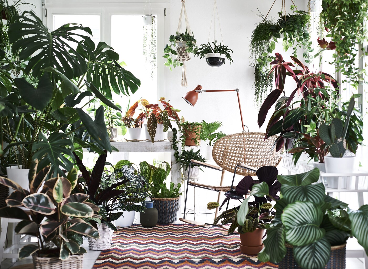 How to Shop for Plants at IKEA Like a Pro