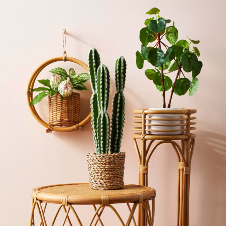 The Stars of Target’s Latest Opalhouse Collection Are the Fake Plants
