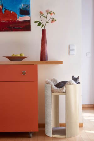 Cats Deserve High-Design Furniture, Too