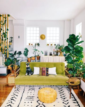 The Best #SoDomino Living Rooms Have This in Common