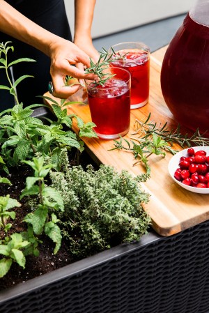 5 Easy Ways to Prep Your Outdoor Entertaining Space for Sweater Weather