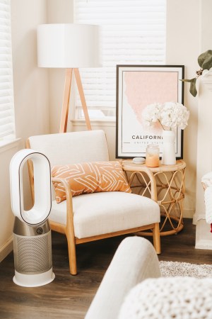 What Happens to Your Body When You Use an Air Purifier for a Month