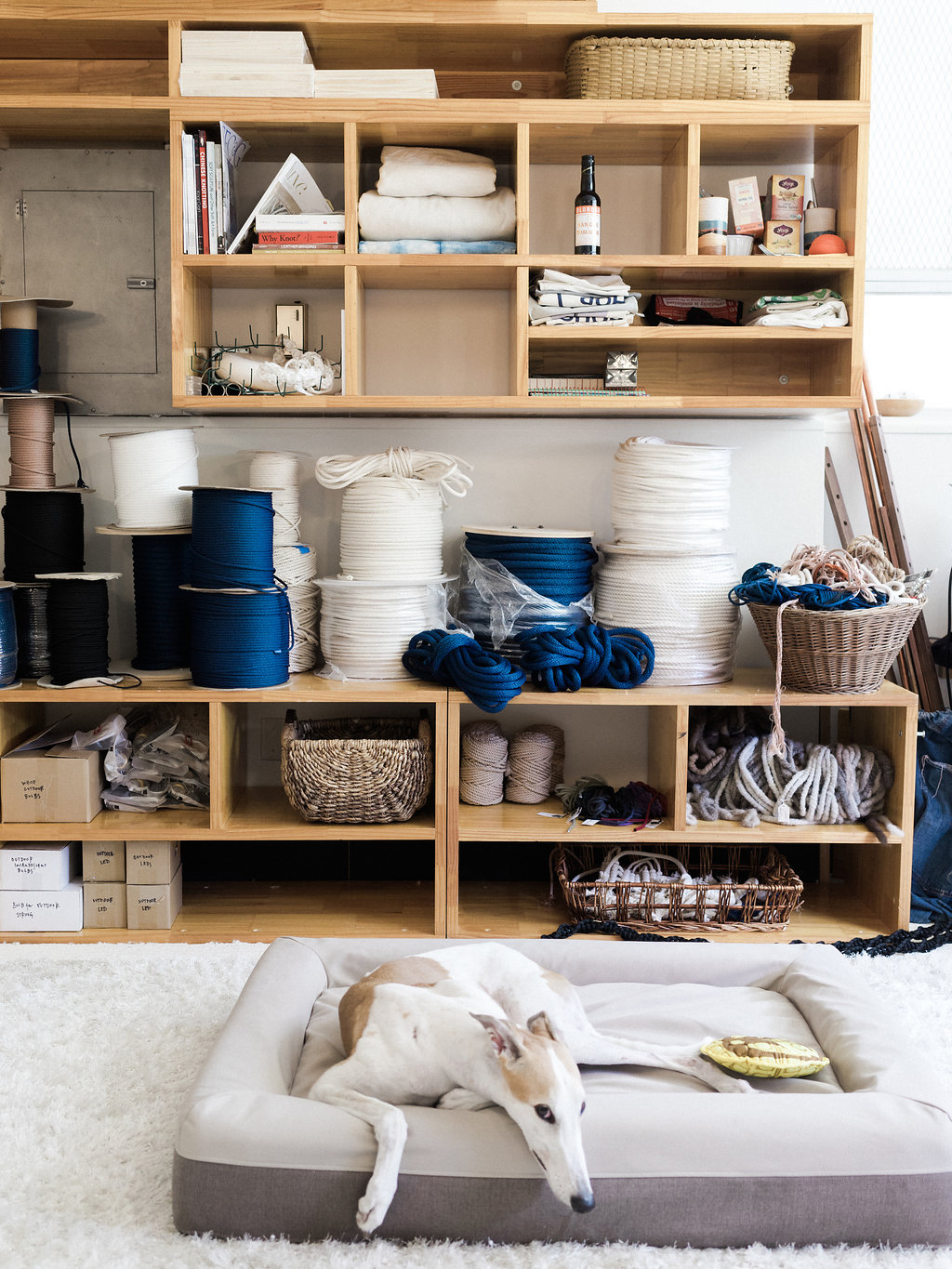 studio with open wood shelves