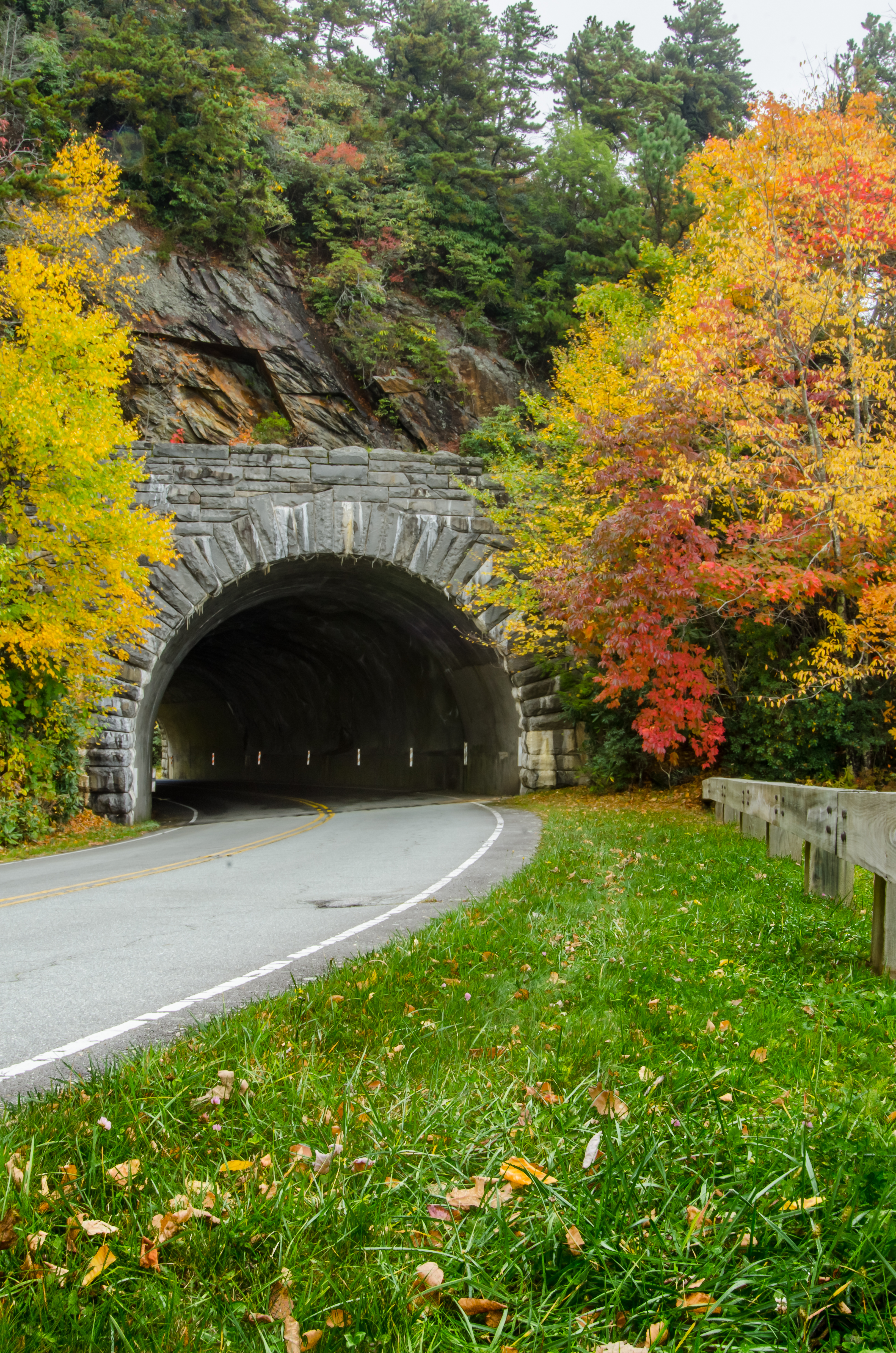 road leading to a tunnel