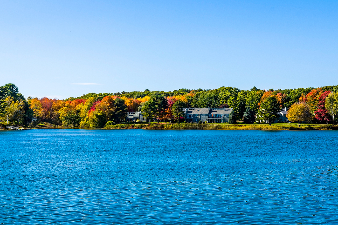 water in maine with trees in background