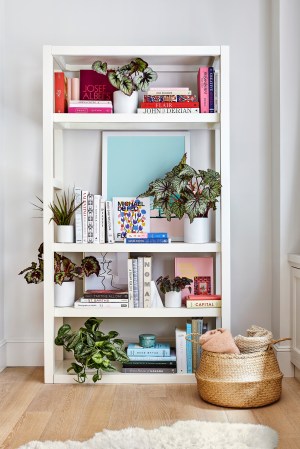 Our Definitive Guide to Styling Your Dream Bookcase