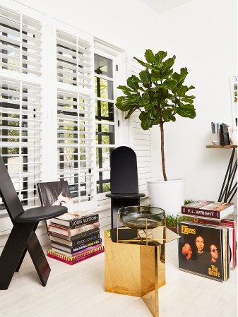 living room with white shutters and records stored in tables