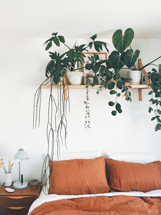 How to Create the Perfect Bedroom Plant Shelf