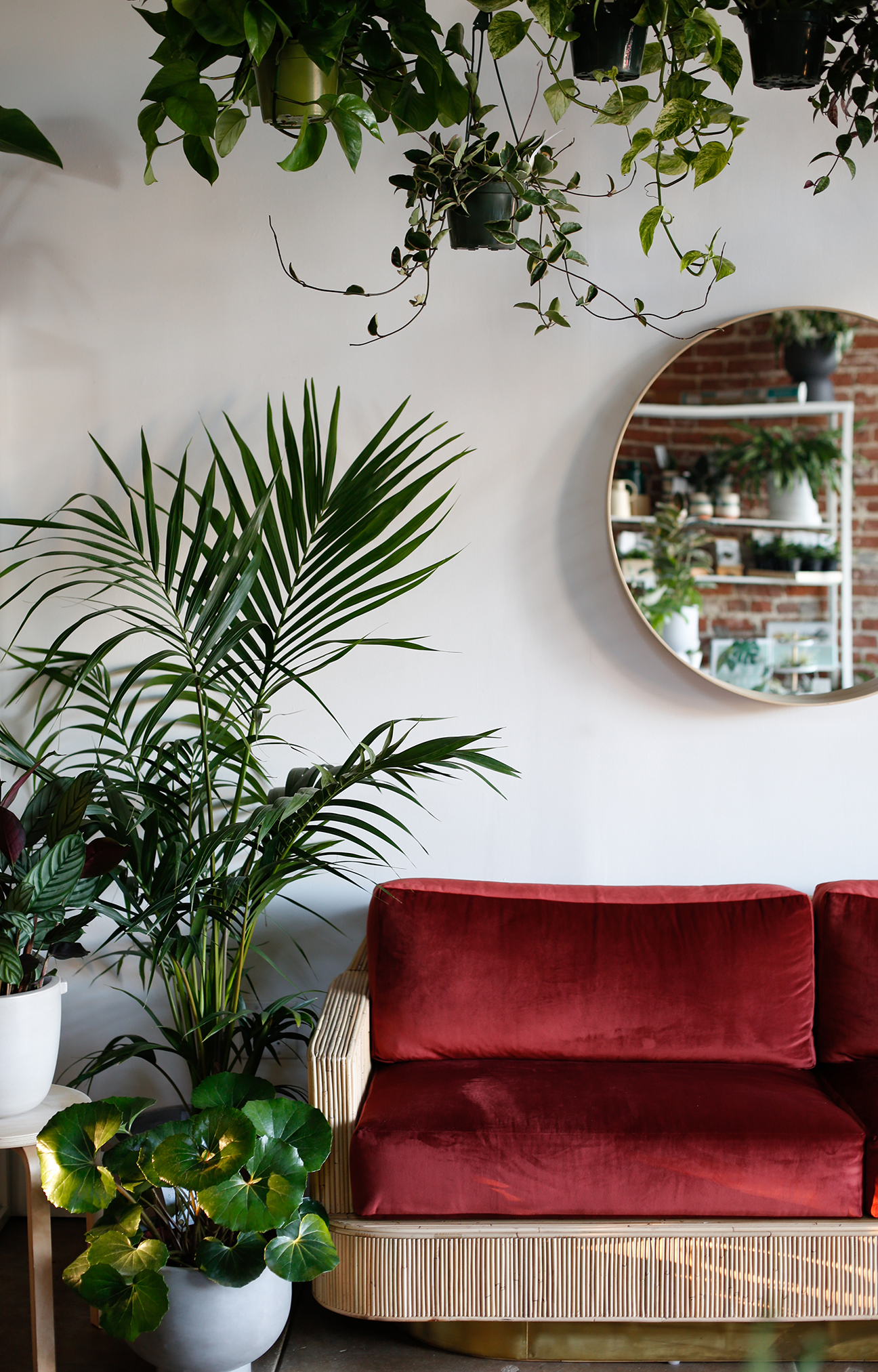 Living room with red velvet sofa, round mirror, and plant.