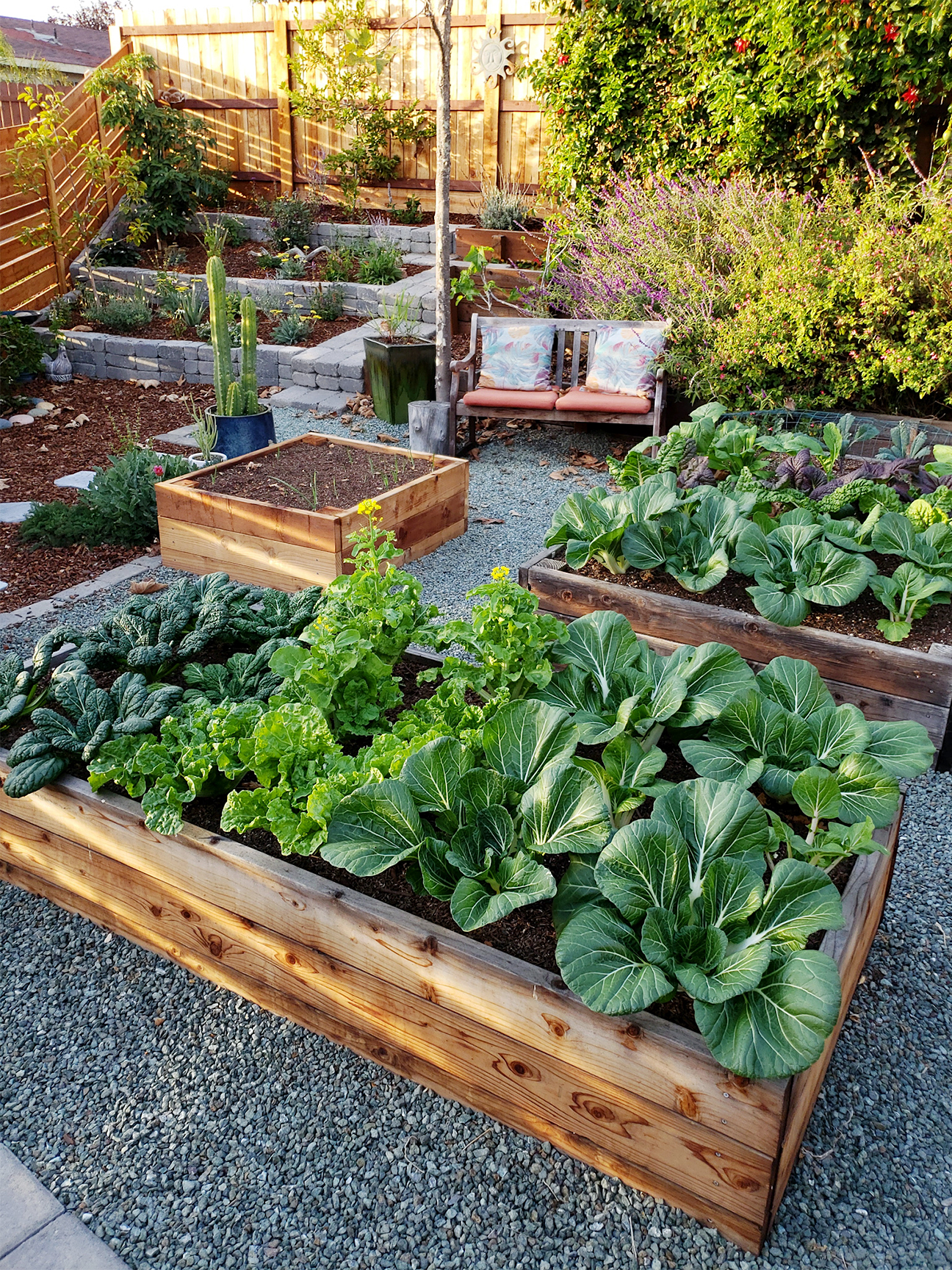 Garden beds