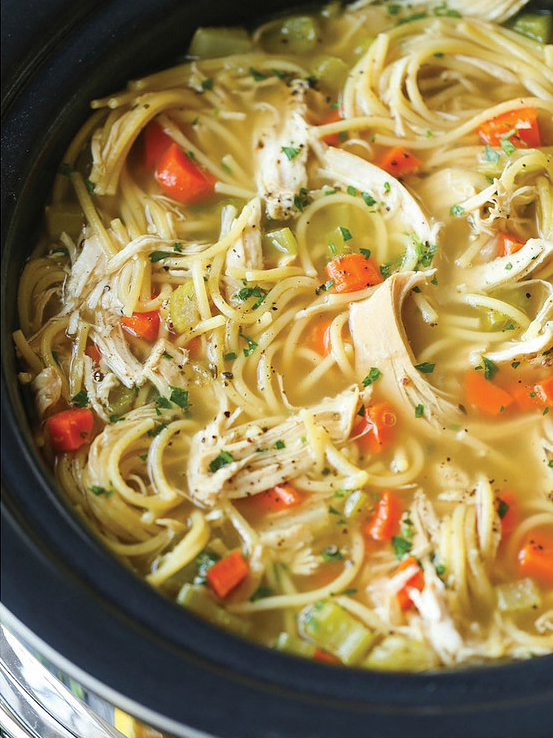 chicken noodle soup