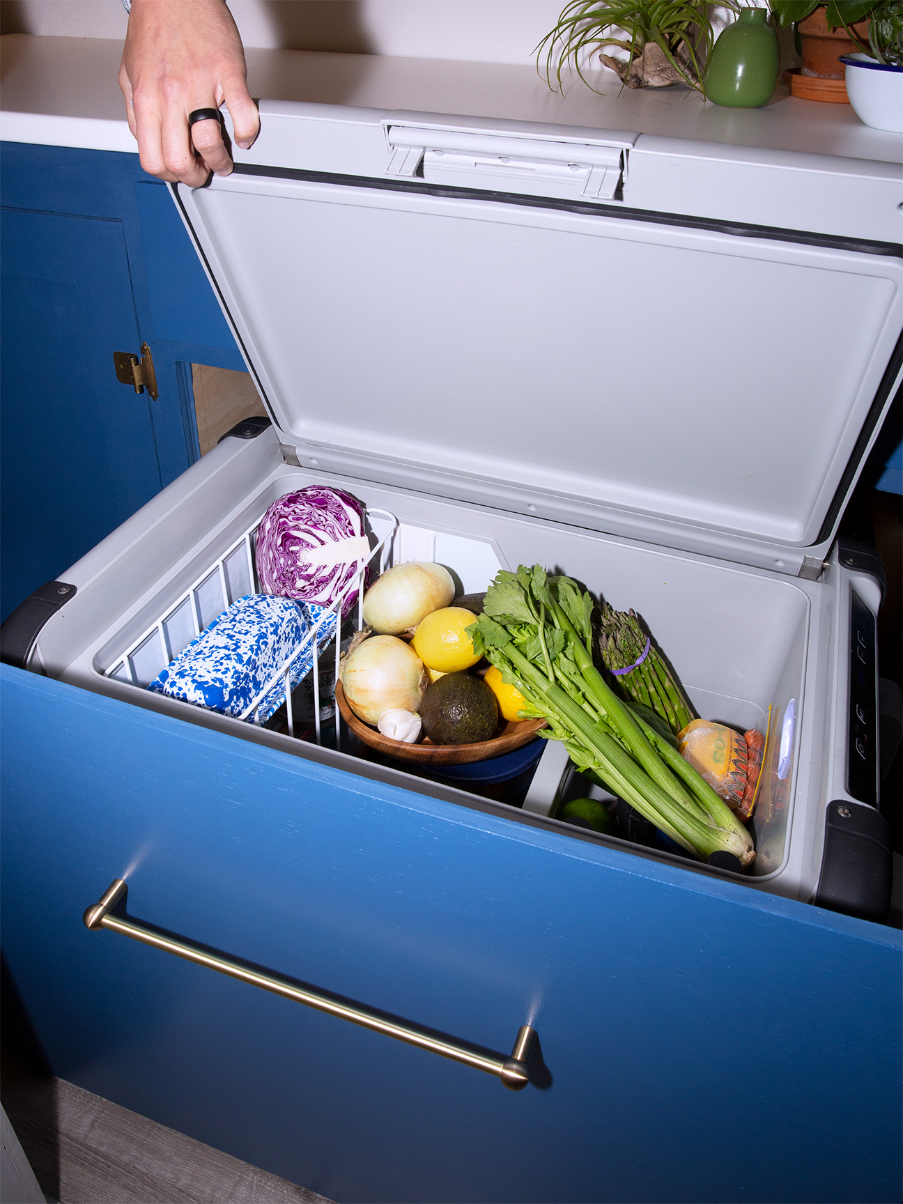 food in a cooler