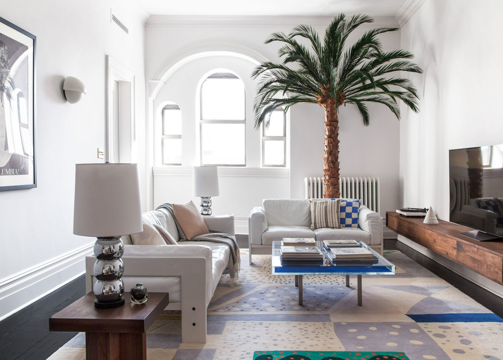 living room with palm tree and colorful rug