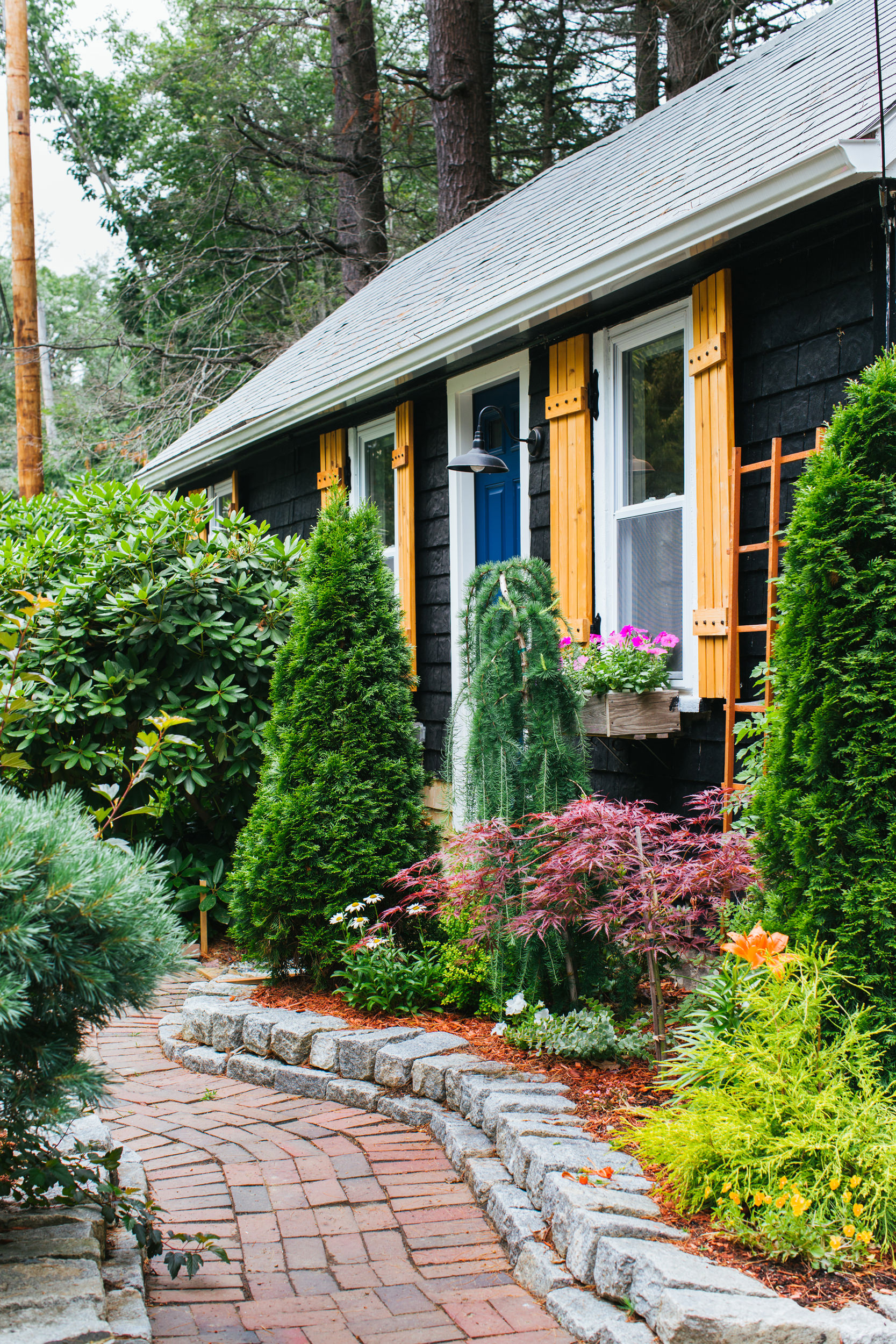 black cottage with yellow shutters