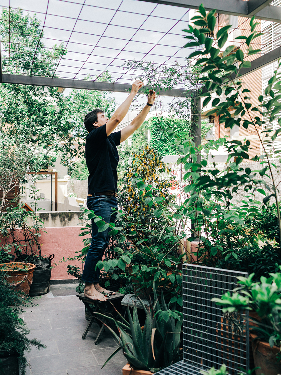 person in terrace garden