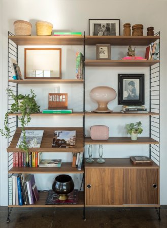 bookshelf of plants