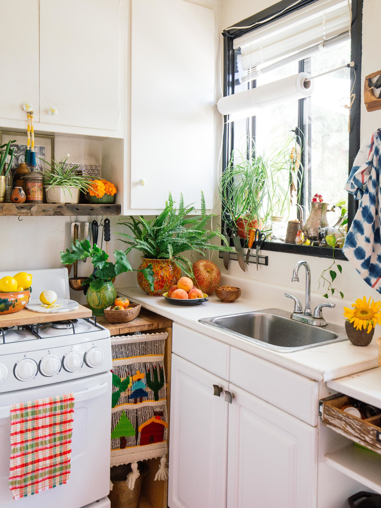 small white kitchen with lots of greenery