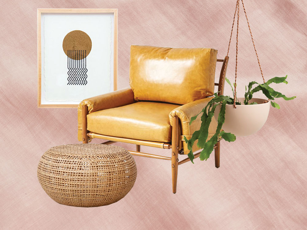 chair ottoman artwork and hanging planter