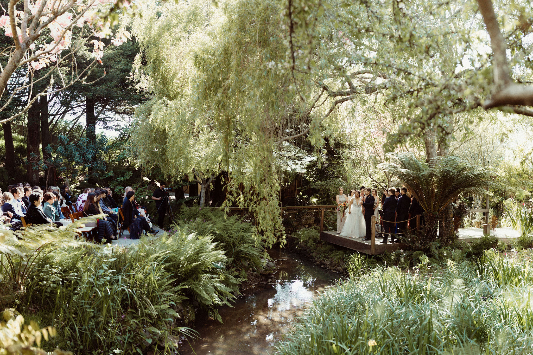 wedding couple in a forest on a platform