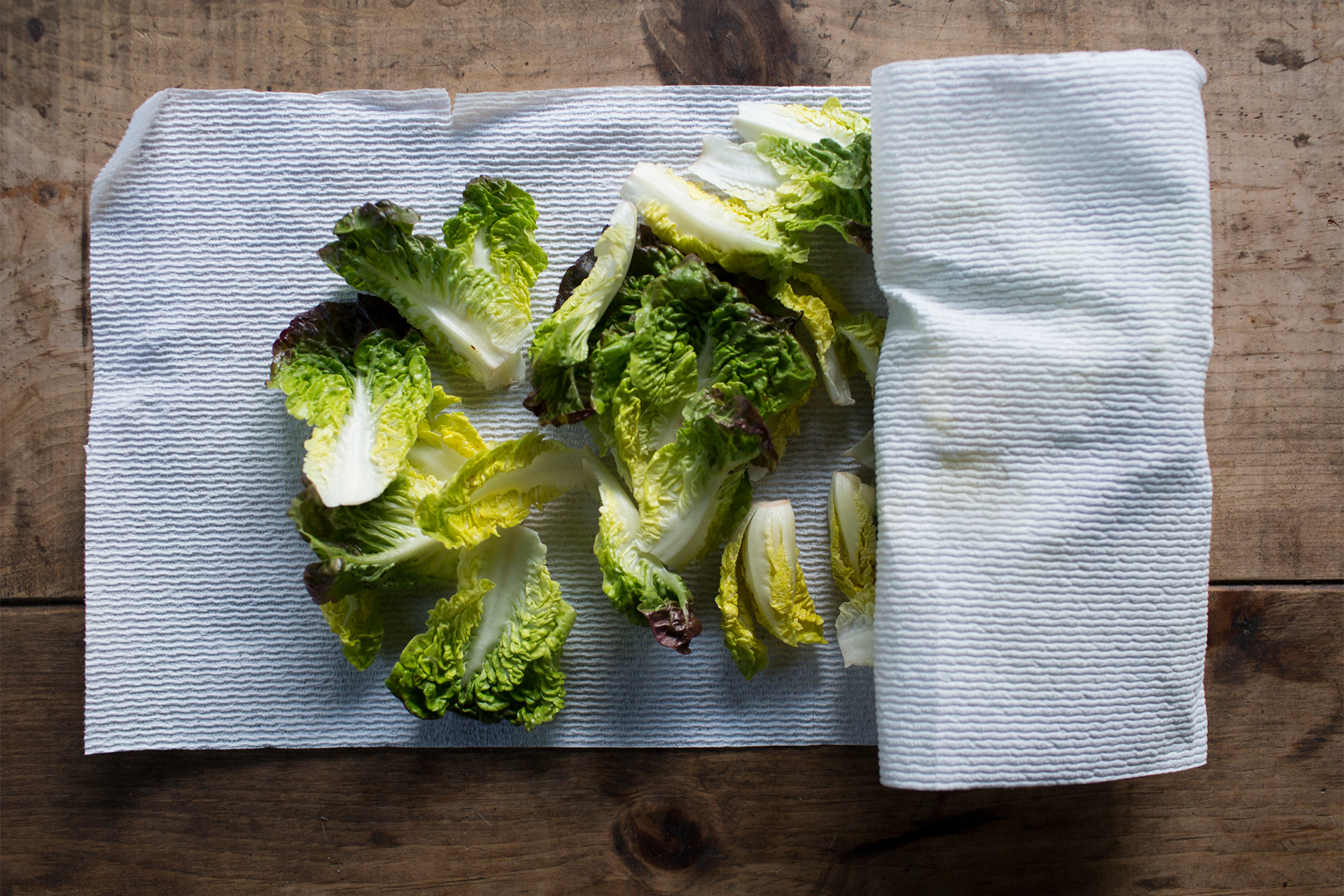 Lettuce on paper towels