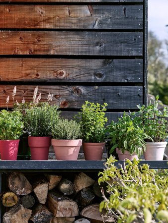 pink ombre planters