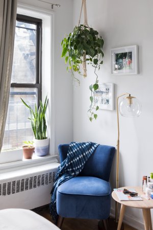 Corner of a room with a chair and a plant