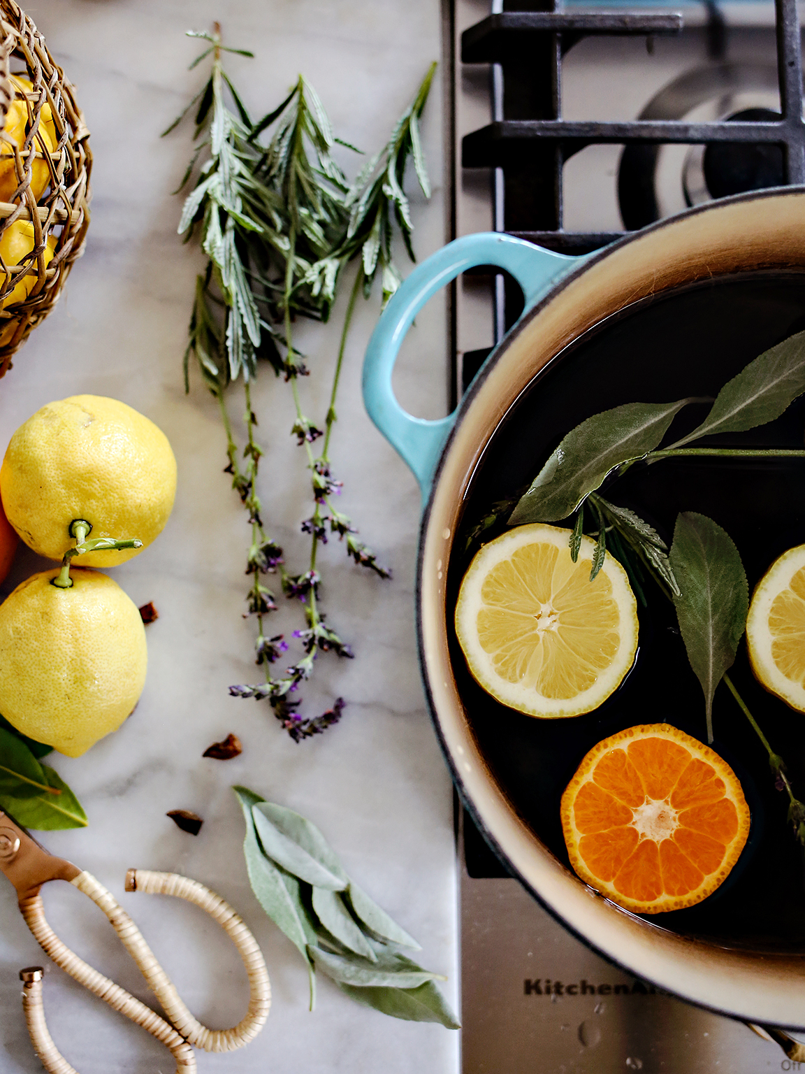 citrus in pot with herbs on the side