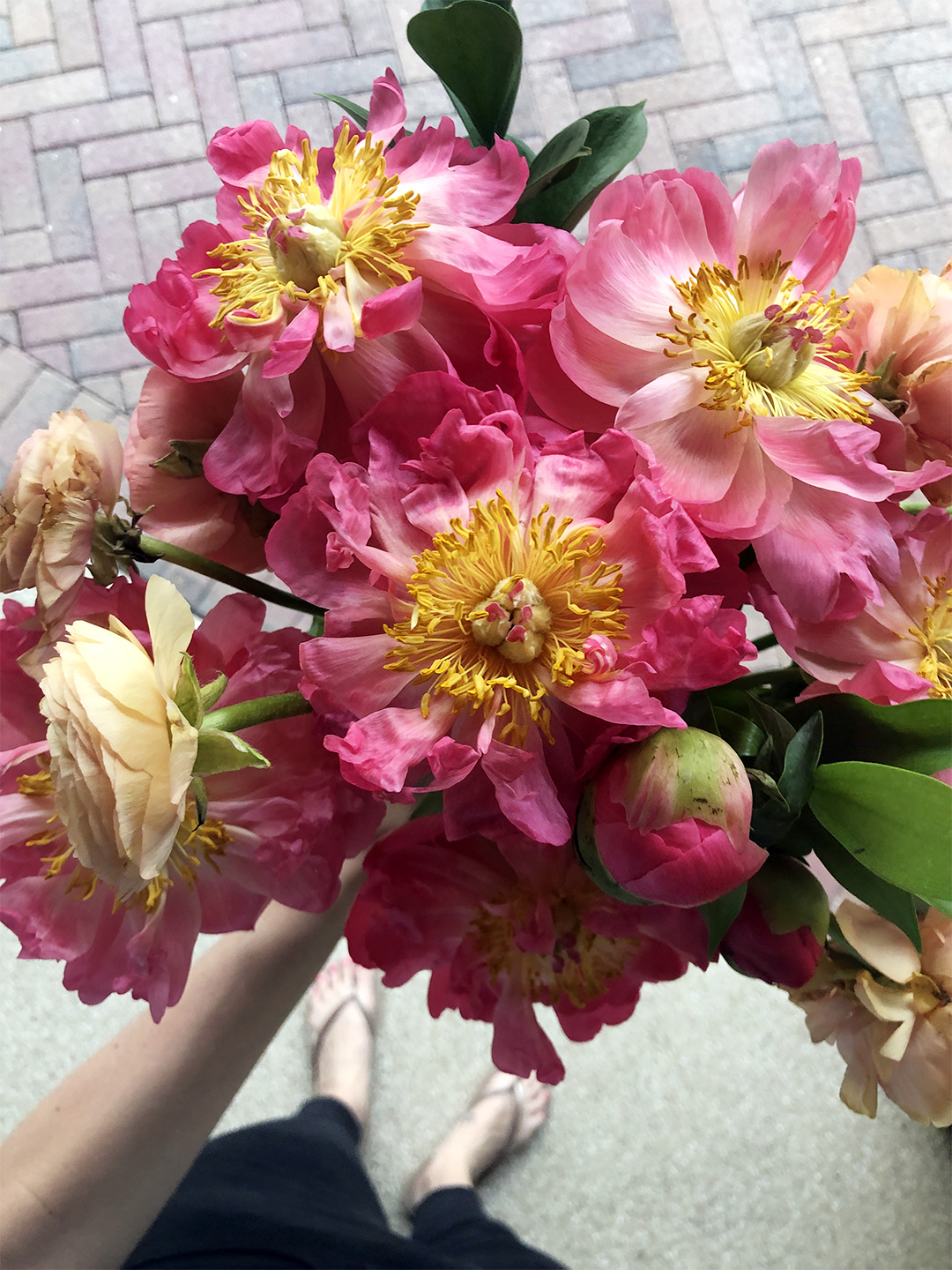 pink peonies