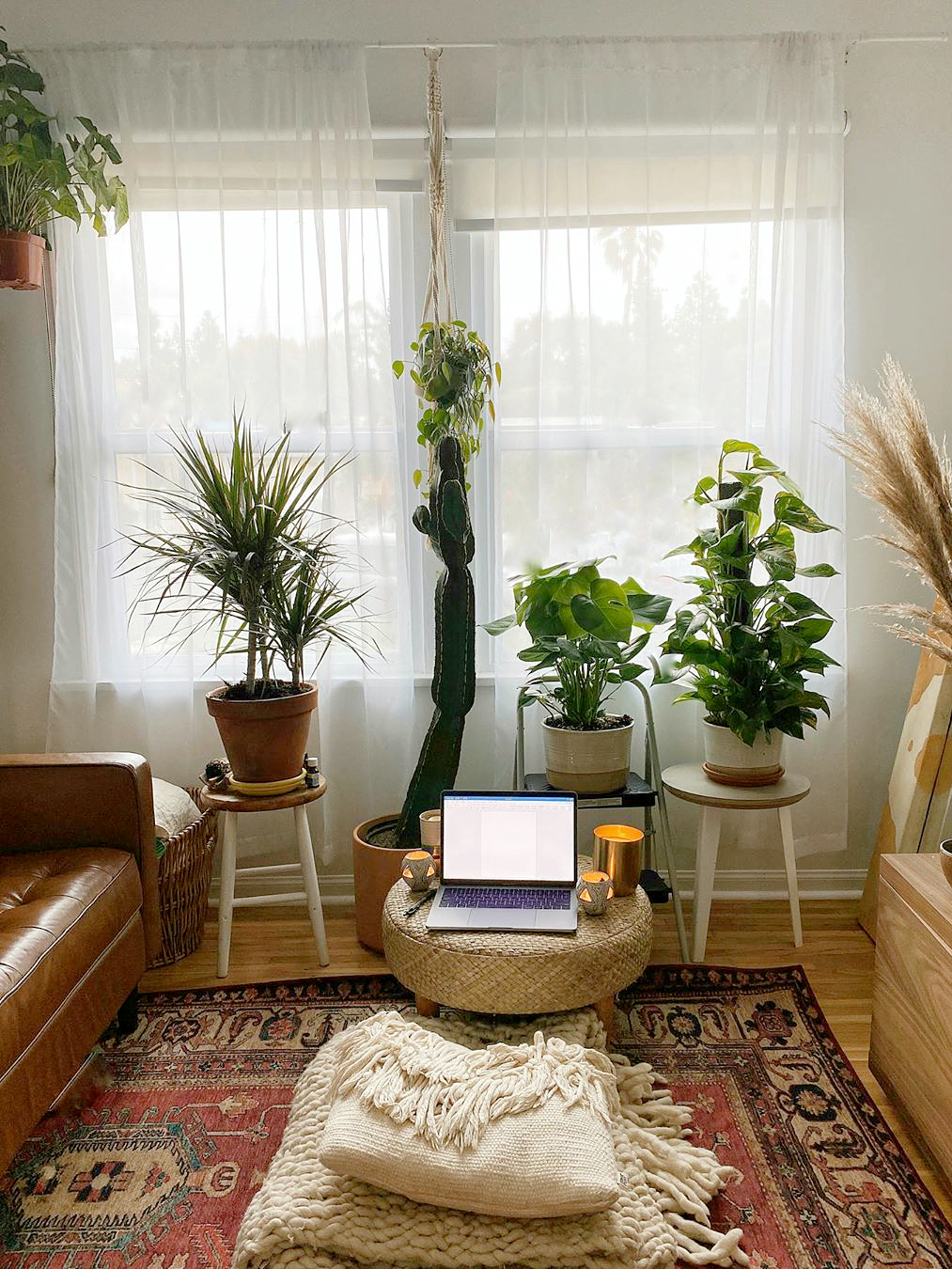 Pouf with laptop on it surrounded by plants