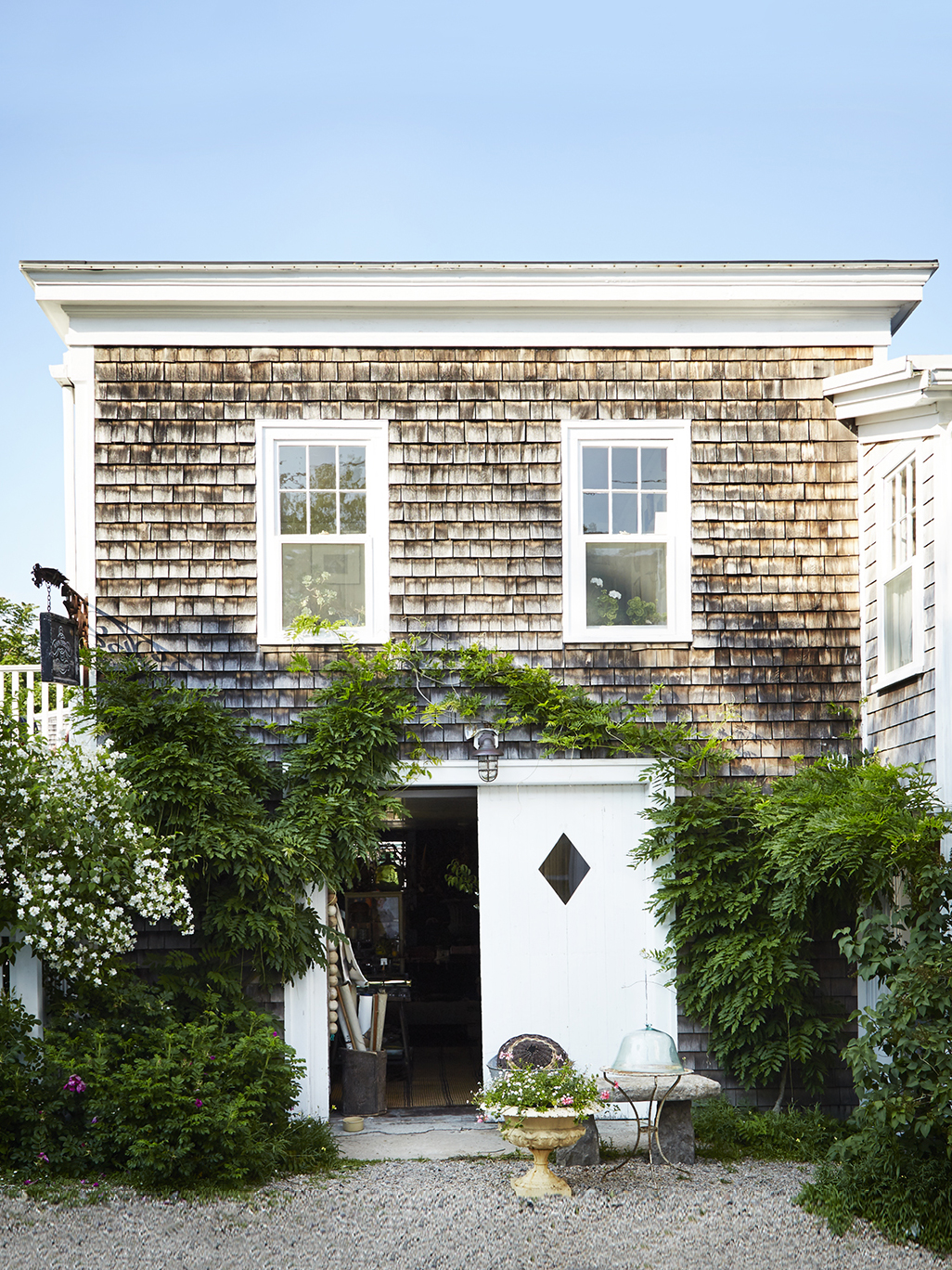 Exterior of house with lush greenery