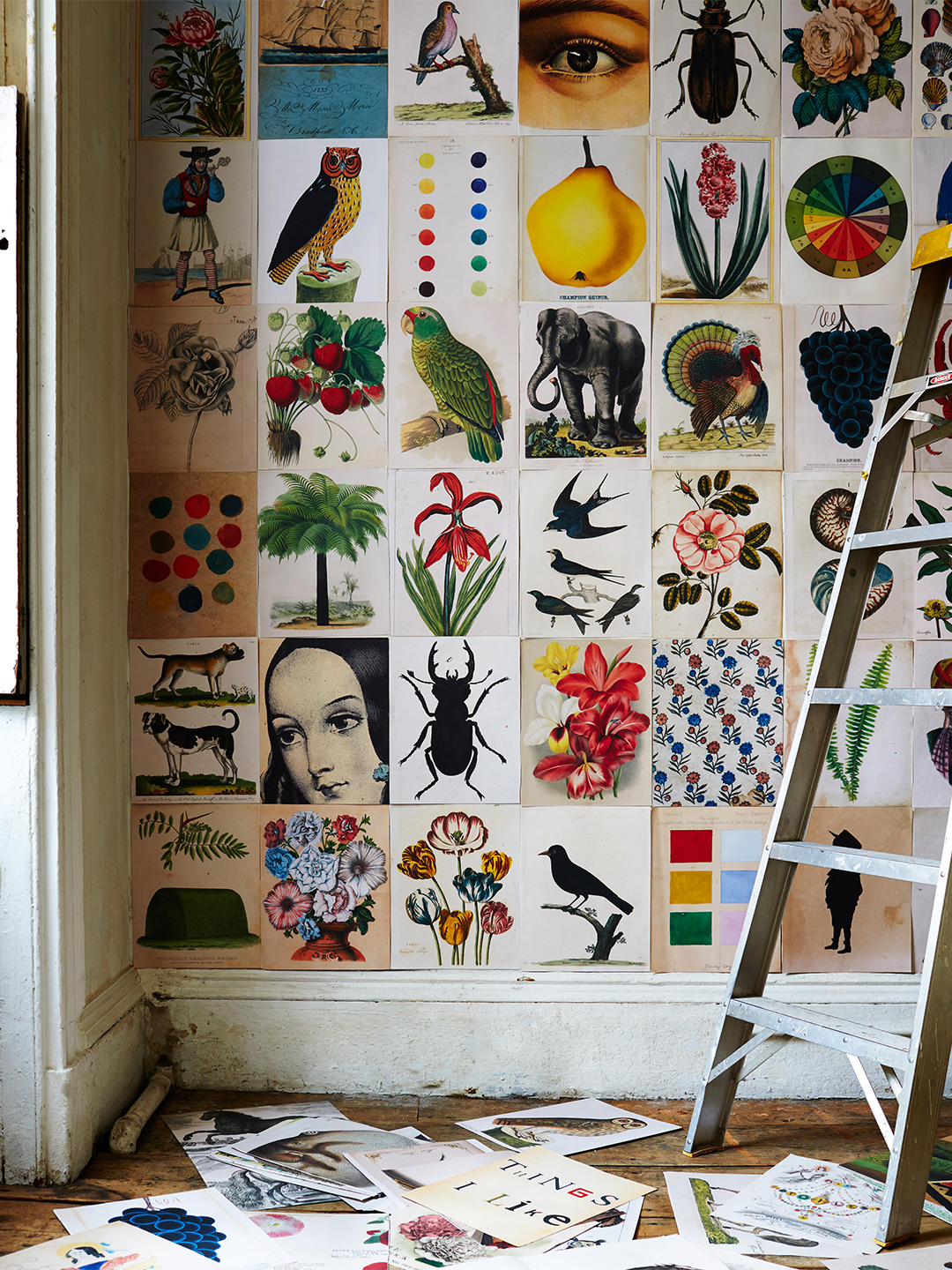 John derian book pages on wall