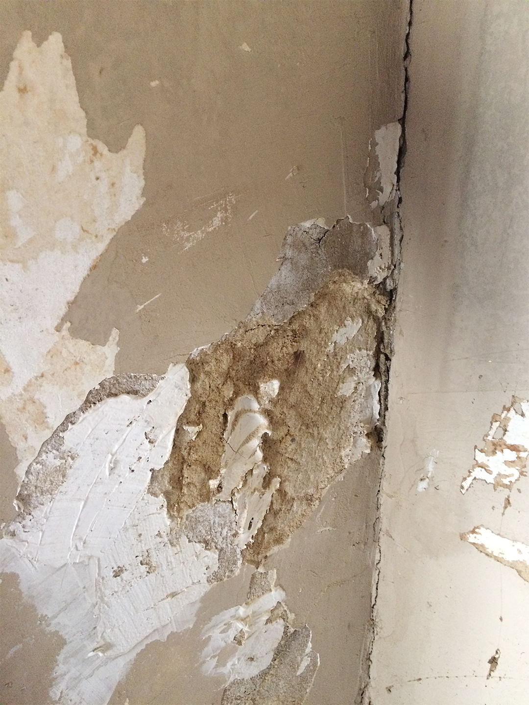 What It’s Like to Restore and Repair 100-Year-Old Wallpaper and Plaster