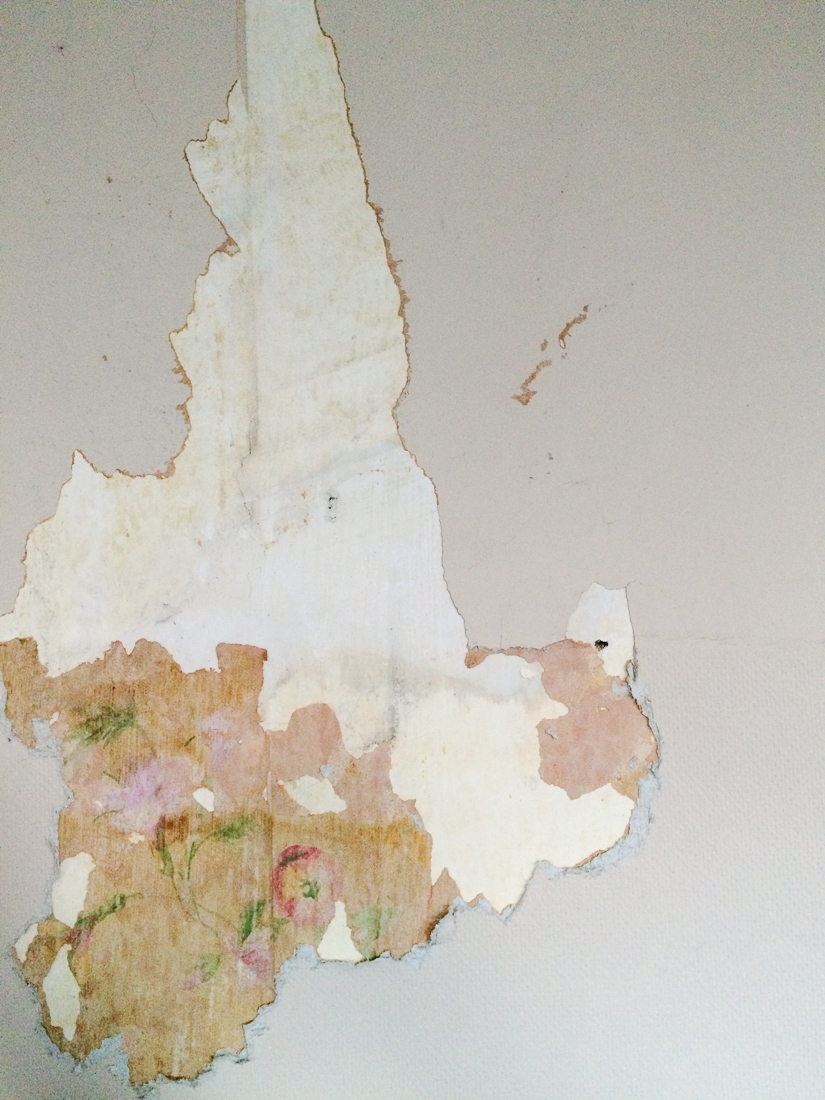 peeled back layers of wallpaper