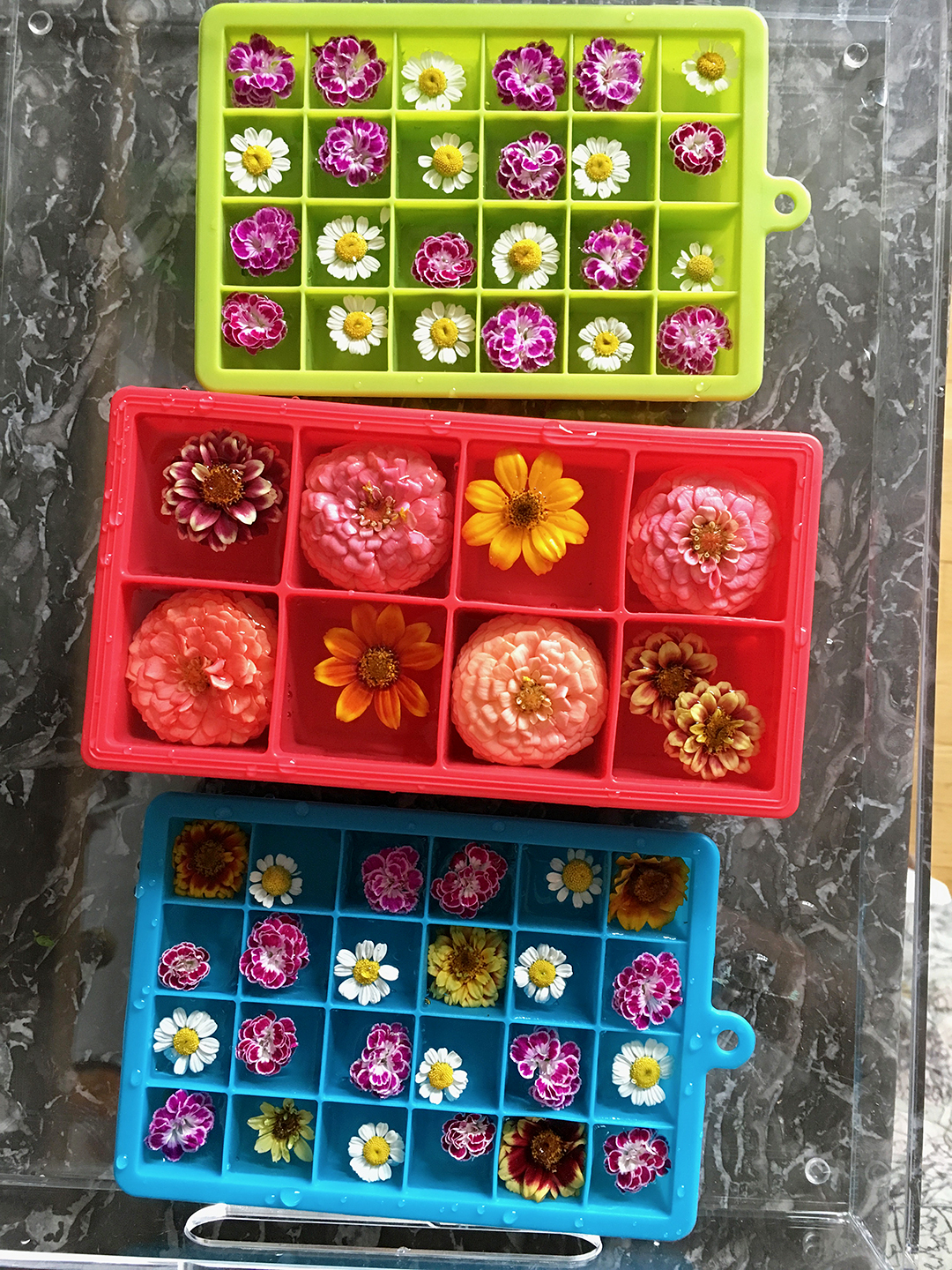 floral ice cubes