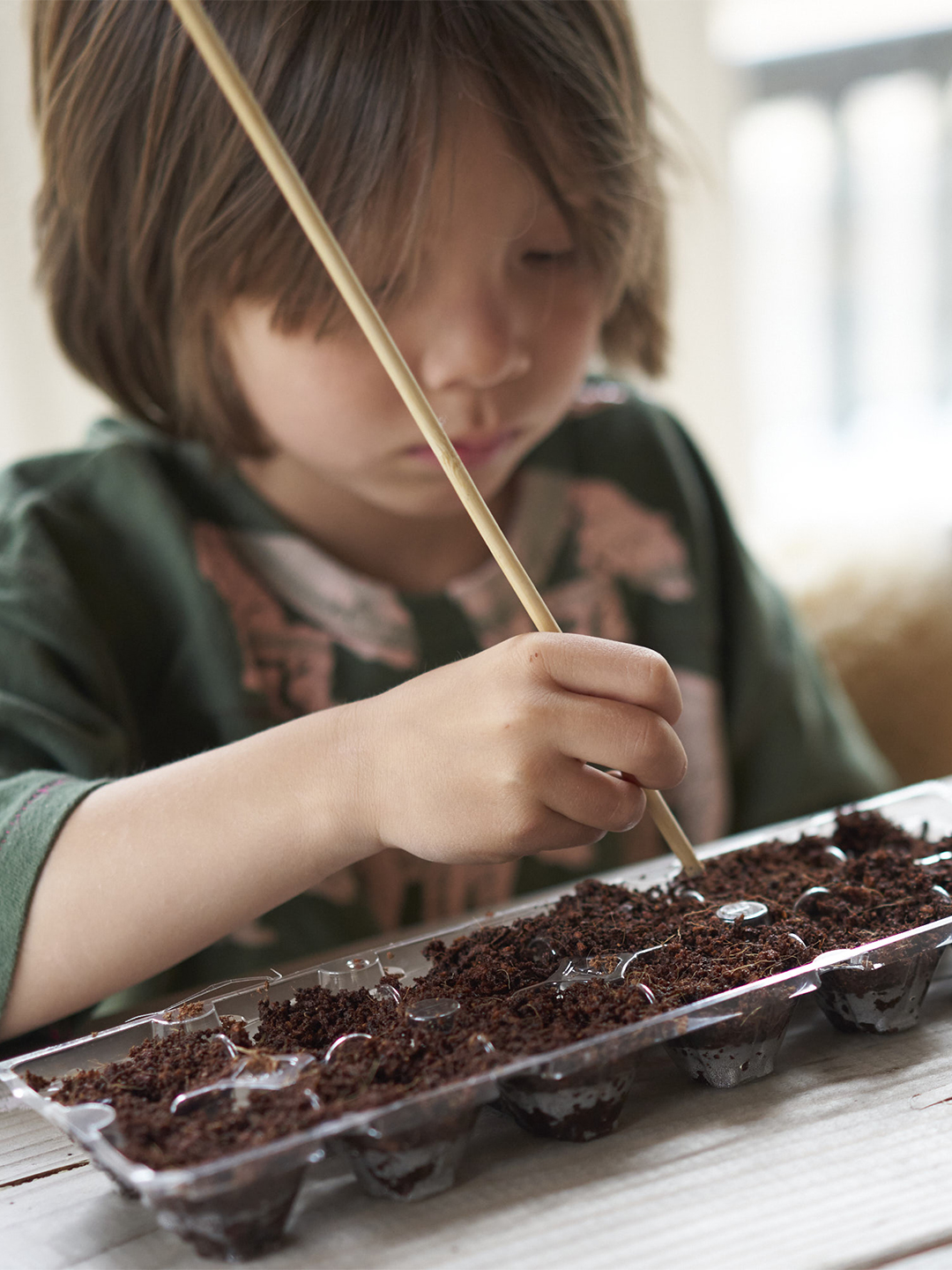 Mies planting seeds in egg carton