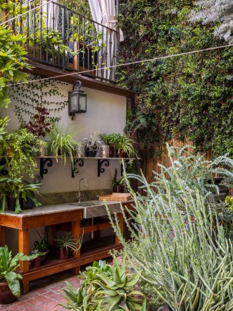 outdoor kitchen with lots of greenery